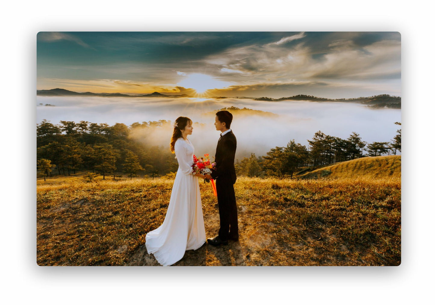 Photo on Aluminum
