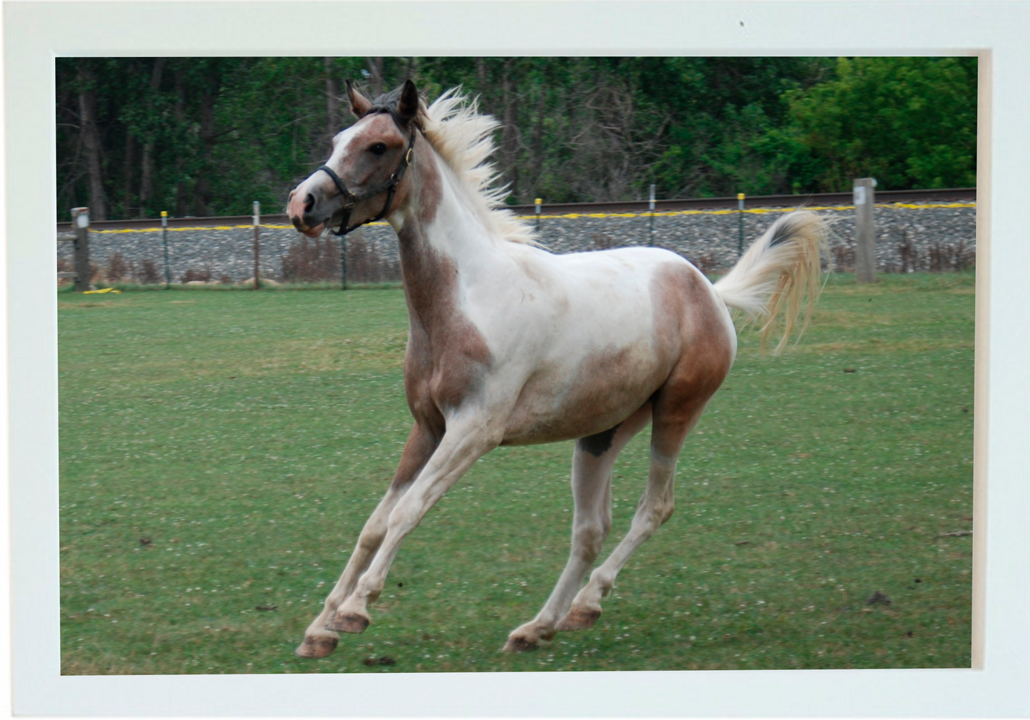 White Wood Rectangle Frame Photo