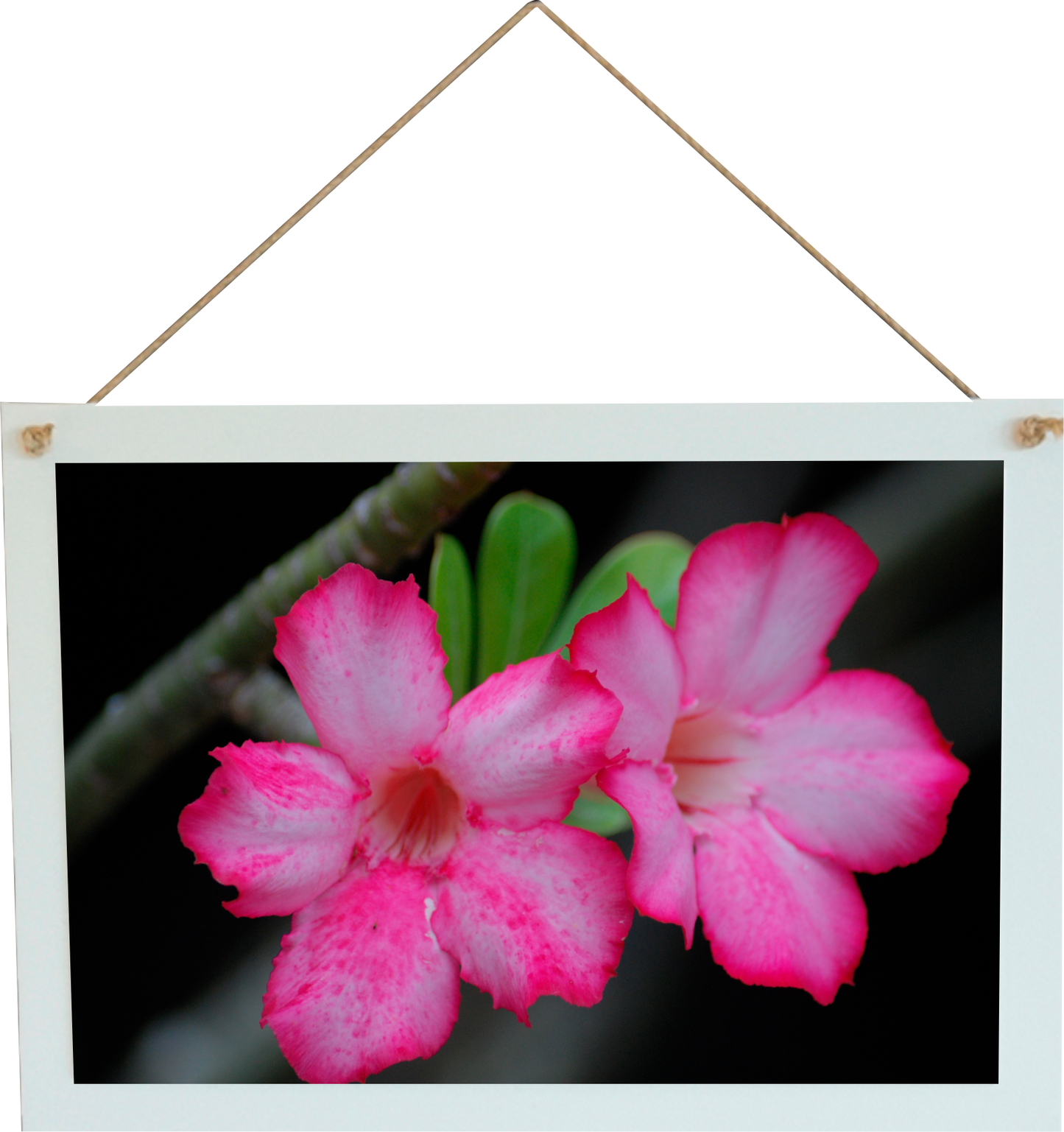 Wood hanging Photo sign 12x8