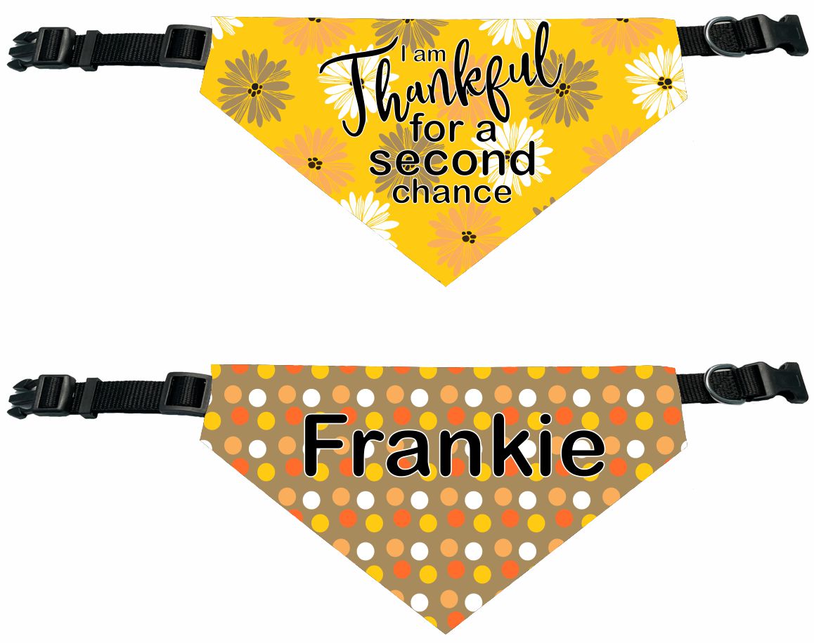 Personalized Thankful for a Second Chance Dog Bandana