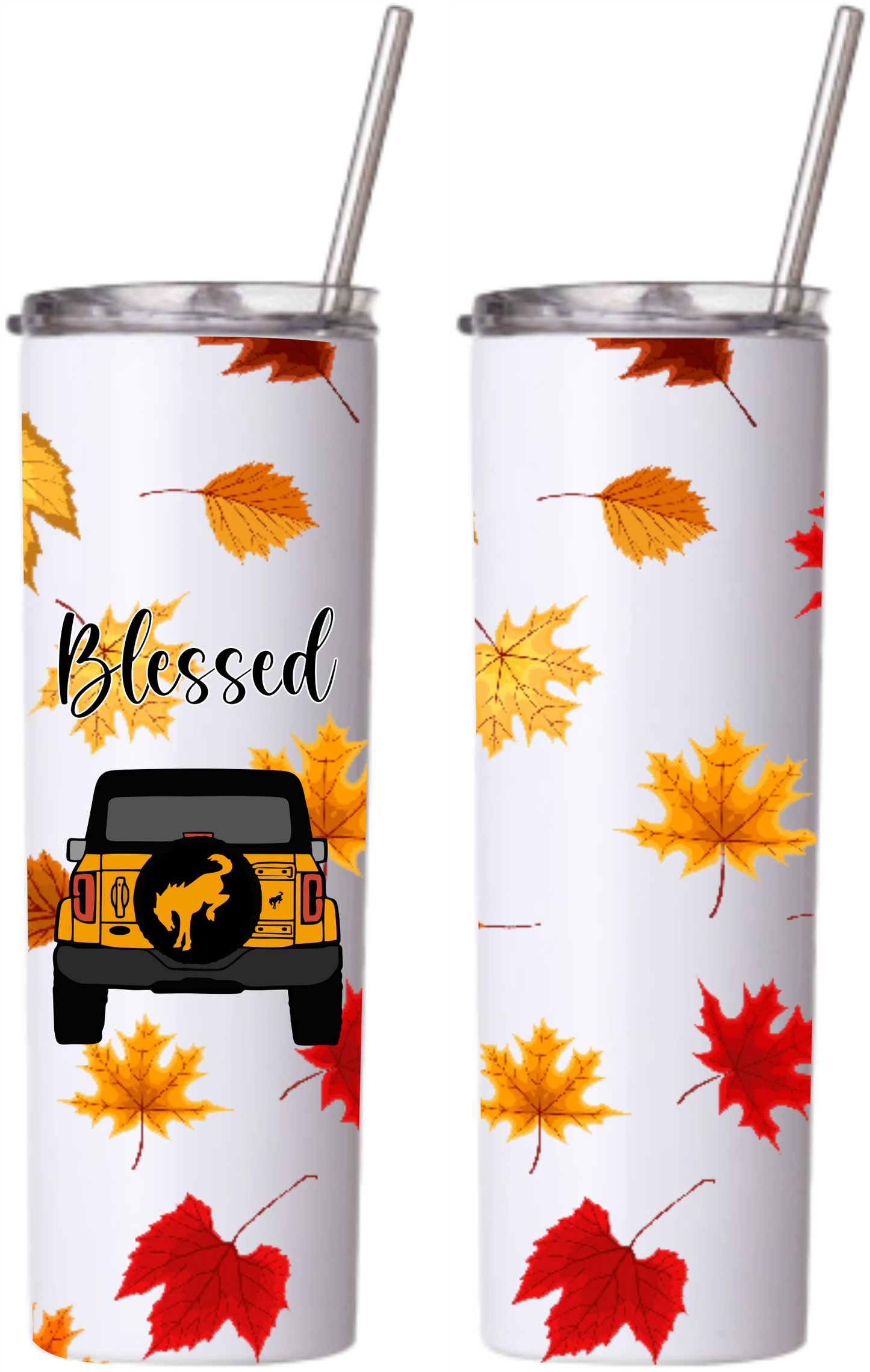 Bronco Blessed Fall Tumbler and Mason Jar