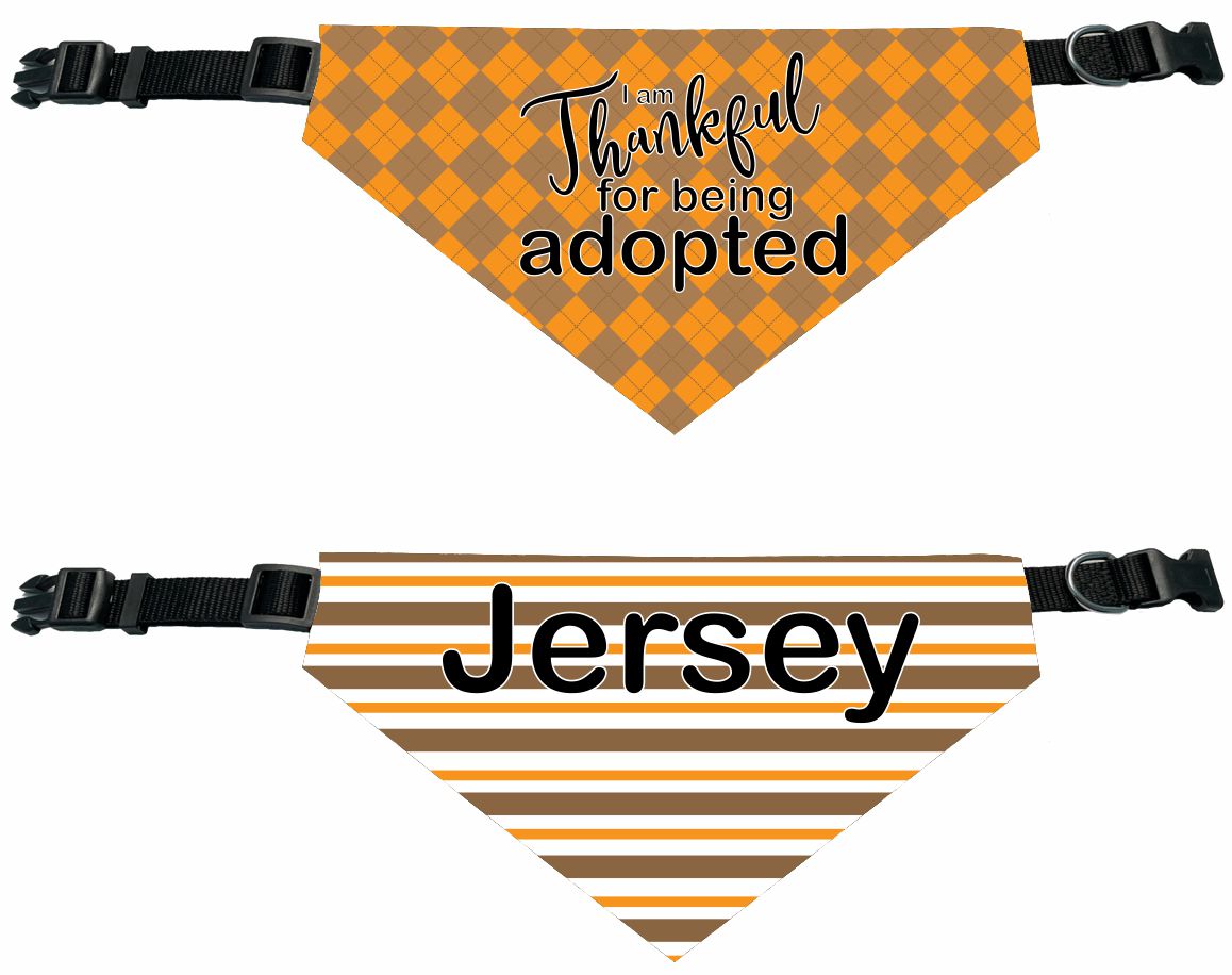 Personalized Thankful for being Adopted Dog Bandana